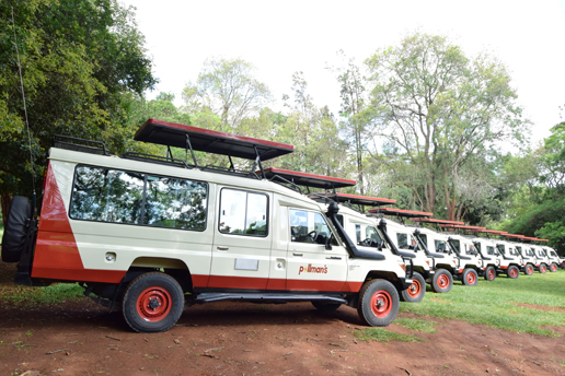 pollman's tours and safaris